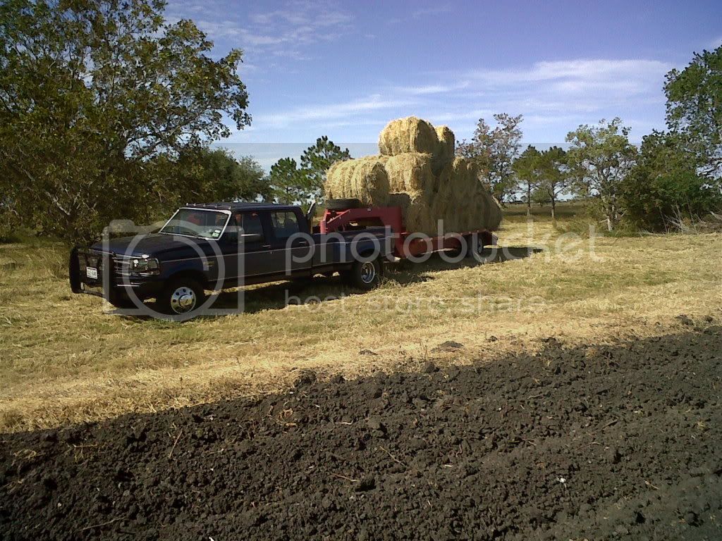 haulinghay11-9-11003.jpg