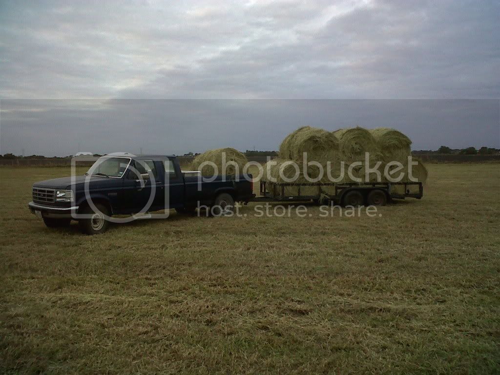 haulinghaylikeaboss090.jpg