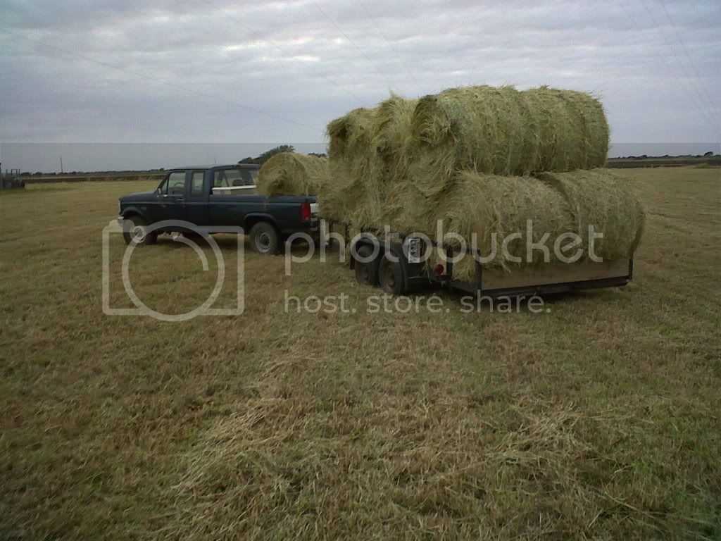 haulinghaylikeaboss091.jpg