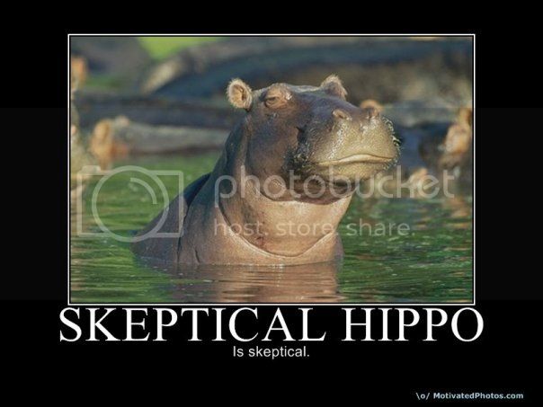 hippo.jpg