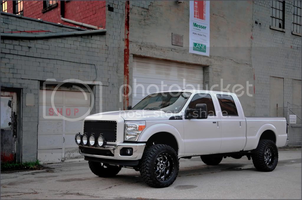 Icon-TRex033.jpg