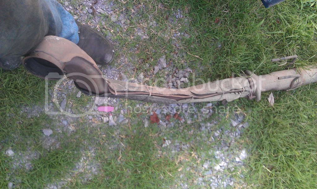 IMAG0070.jpg