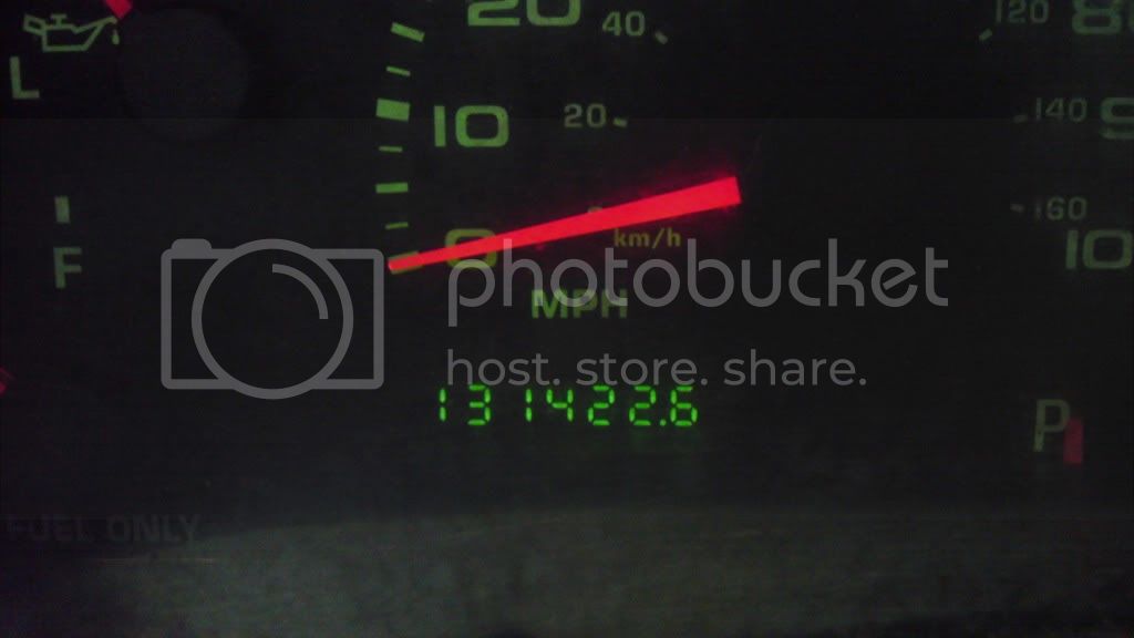 IMAG0156.jpg