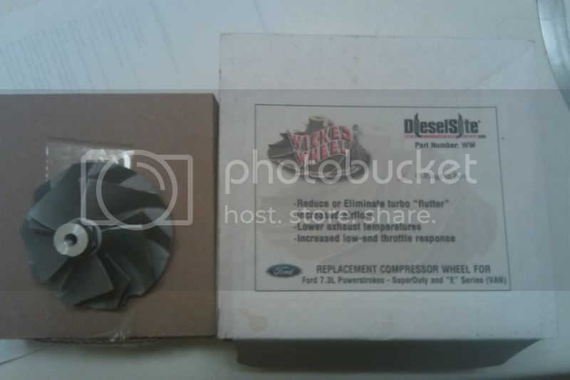 IMAG0392.jpg