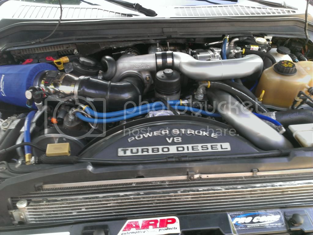 IMAG1348_zps68e3b9ab.jpg