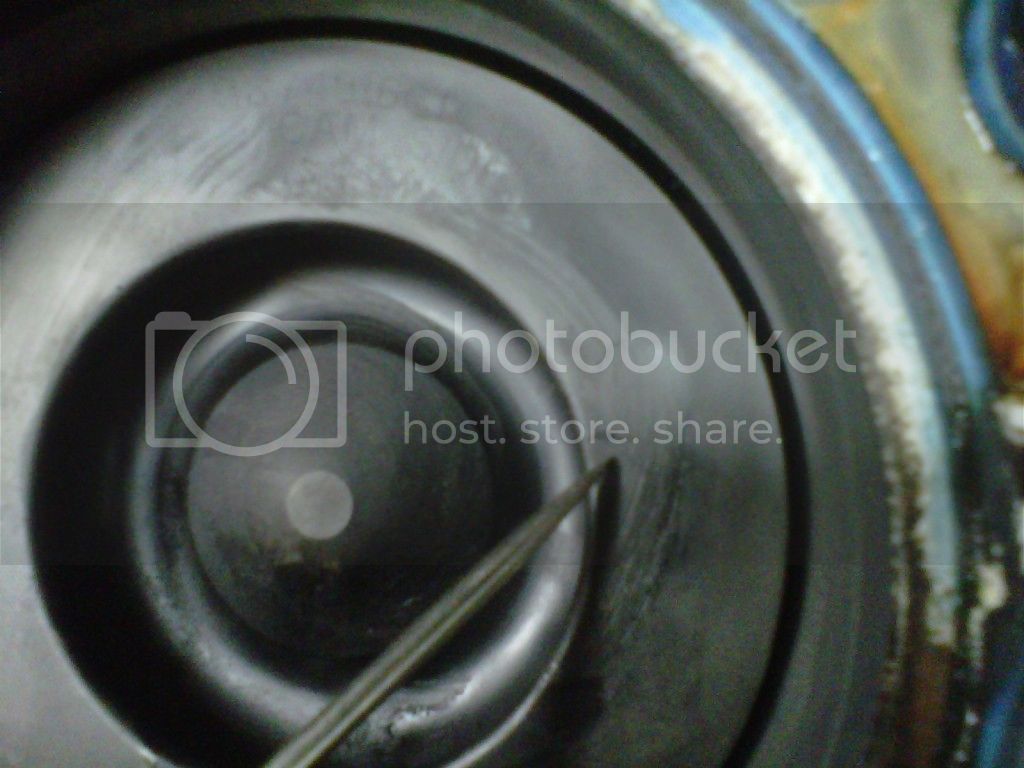 IMG00596-20120920-0908_zps18500cb6.jpg