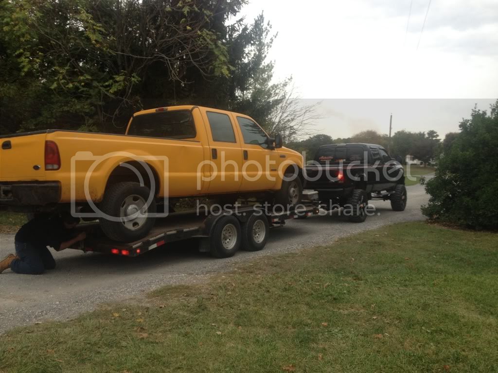 IMG_0489_zps623d485c.jpg