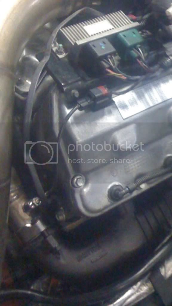 IMG_0664_zps49ab0add.jpg