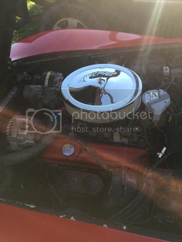IMG_1282_zpsba62374e.jpg