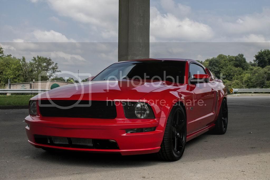 IMG_1720-2_zps7963d2d3.jpg