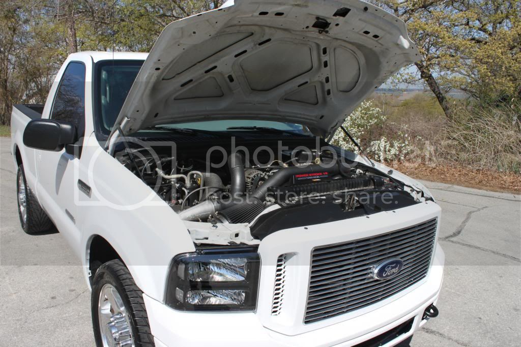 IMG_2267_zps42a21806.jpg