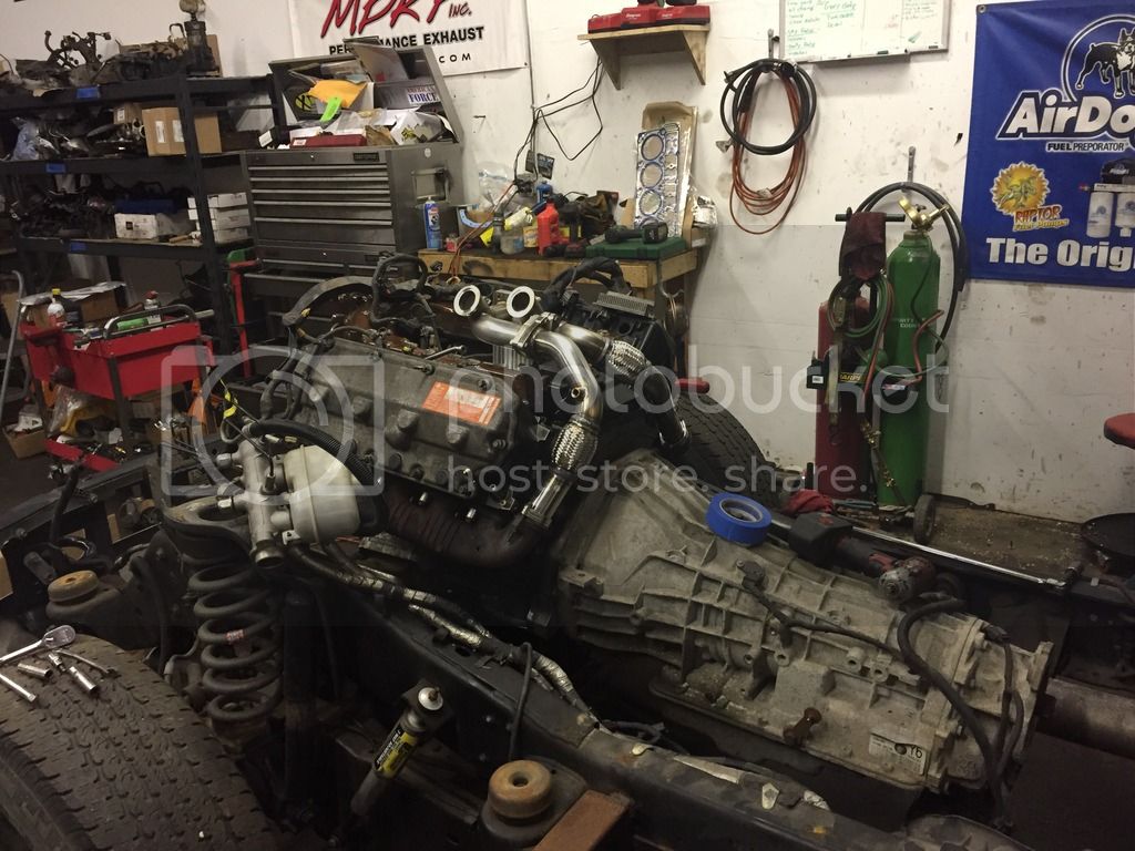 IMG_4064_zpsxj95brsr.jpg