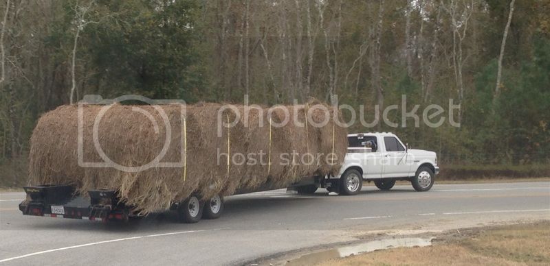 IMG_4289_zps7c330626.jpg