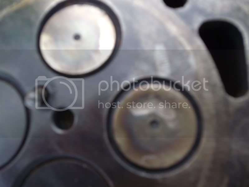 MOTOR036.jpg