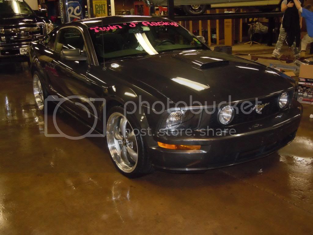 Mustang002.jpg