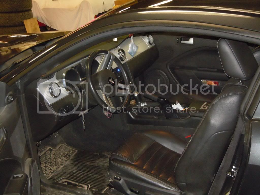 Mustang004.jpg