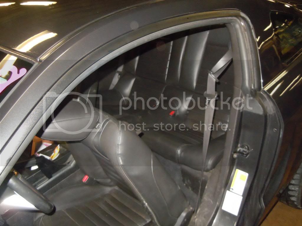 Mustang005.jpg