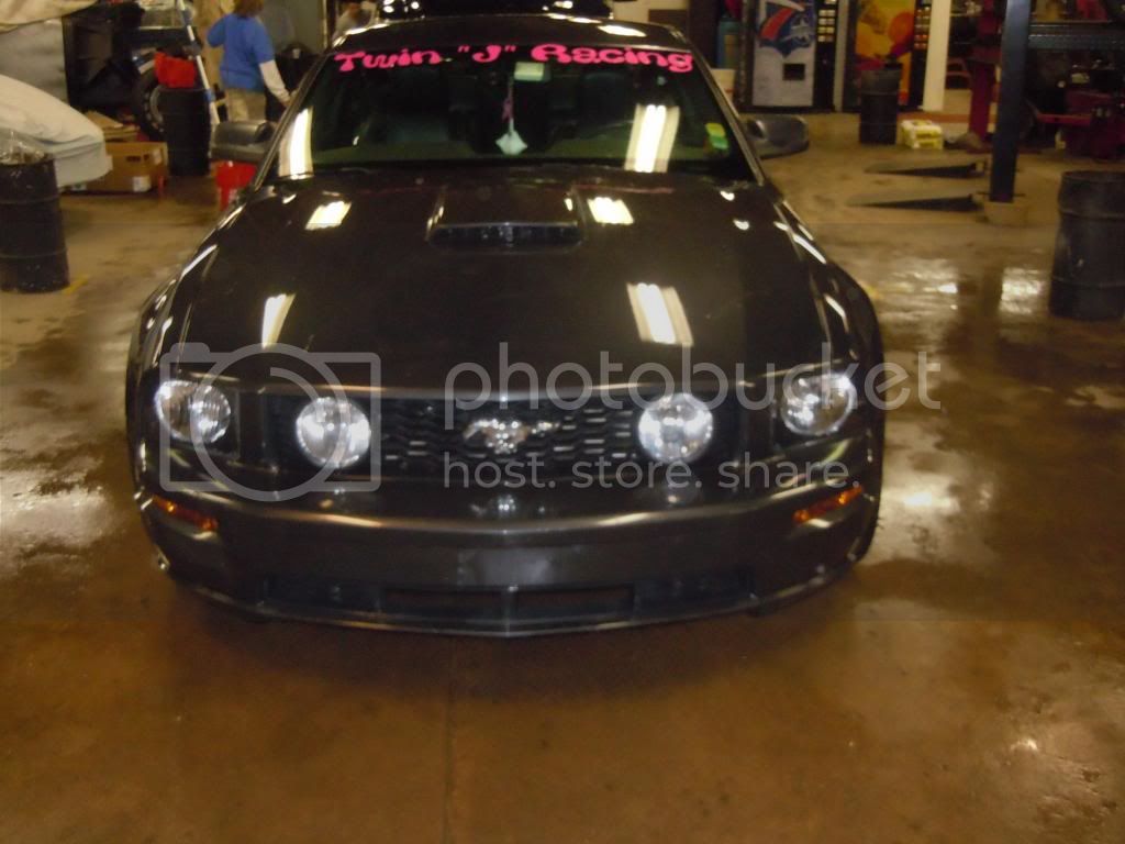 Mustang013.jpg