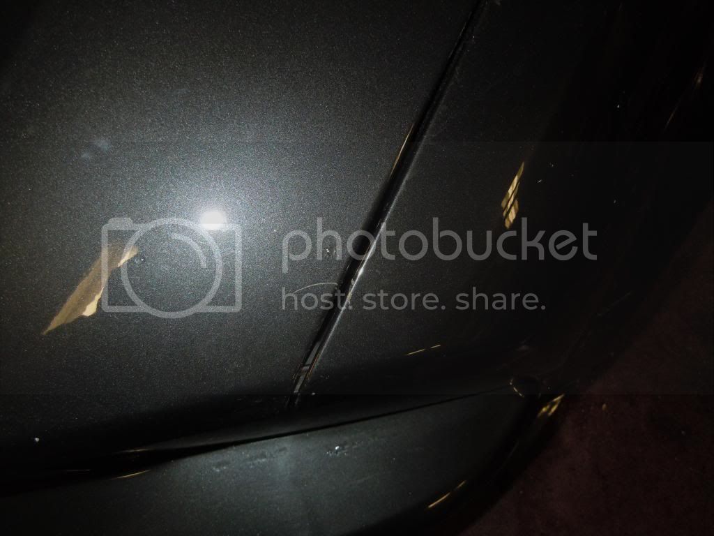 Mustang014.jpg