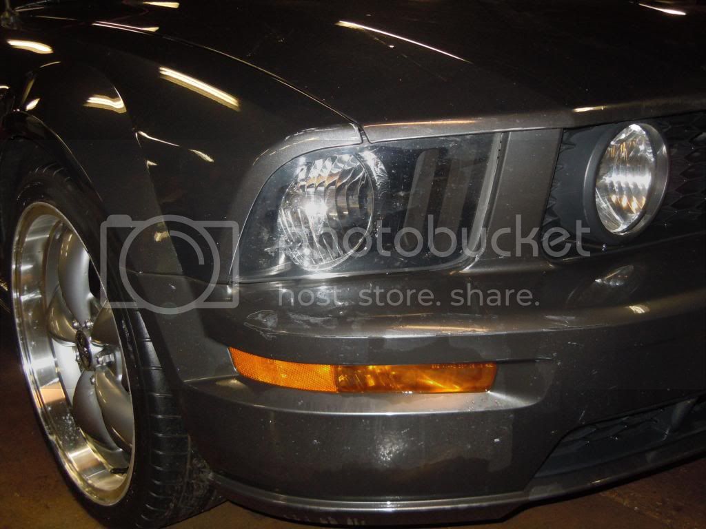 Mustang015.jpg