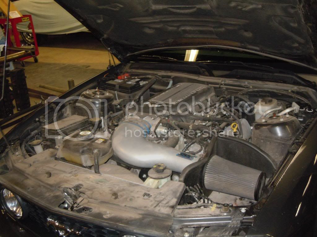 Mustang017.jpg