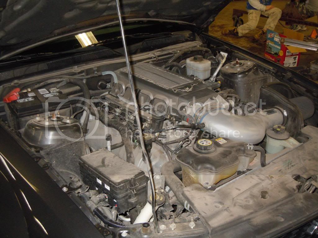 Mustang018.jpg