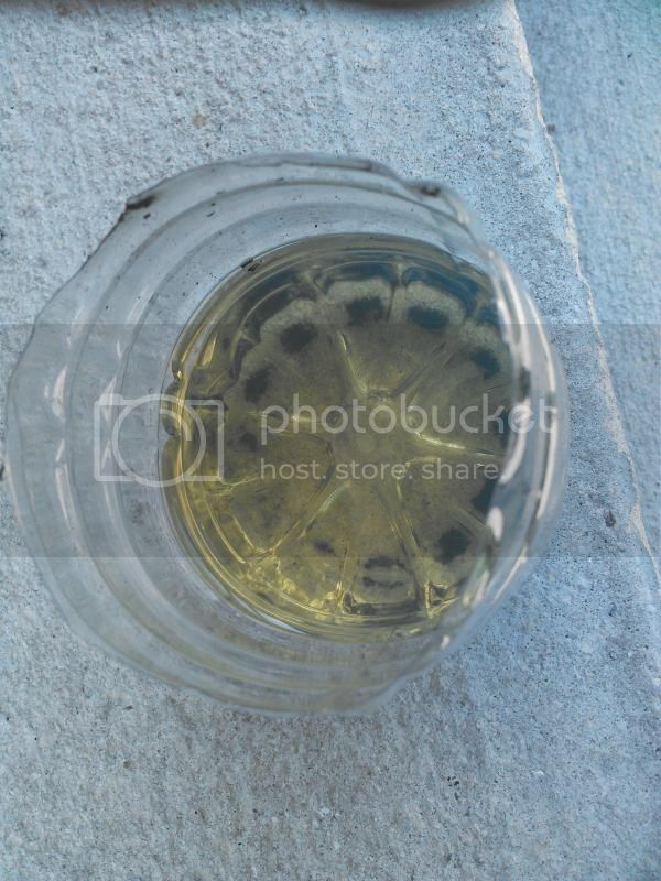 NCM_0020.jpg