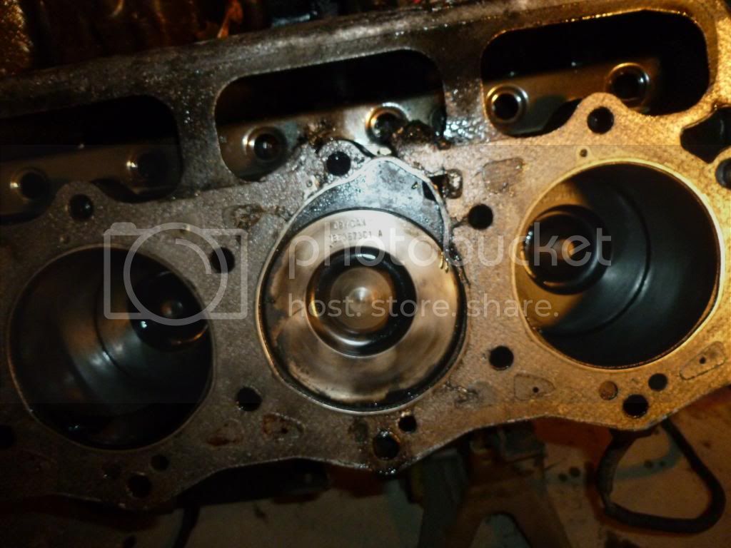 P1000880_zps90782e40.jpg