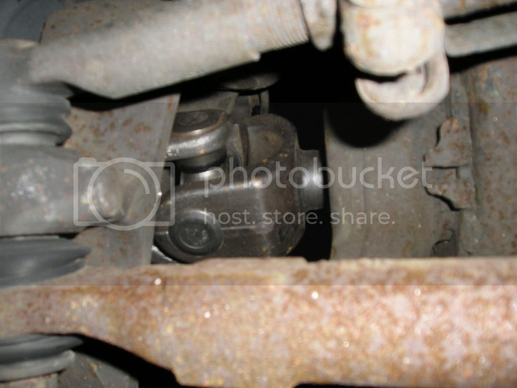 P1010030_zpsk9zjswws.jpg