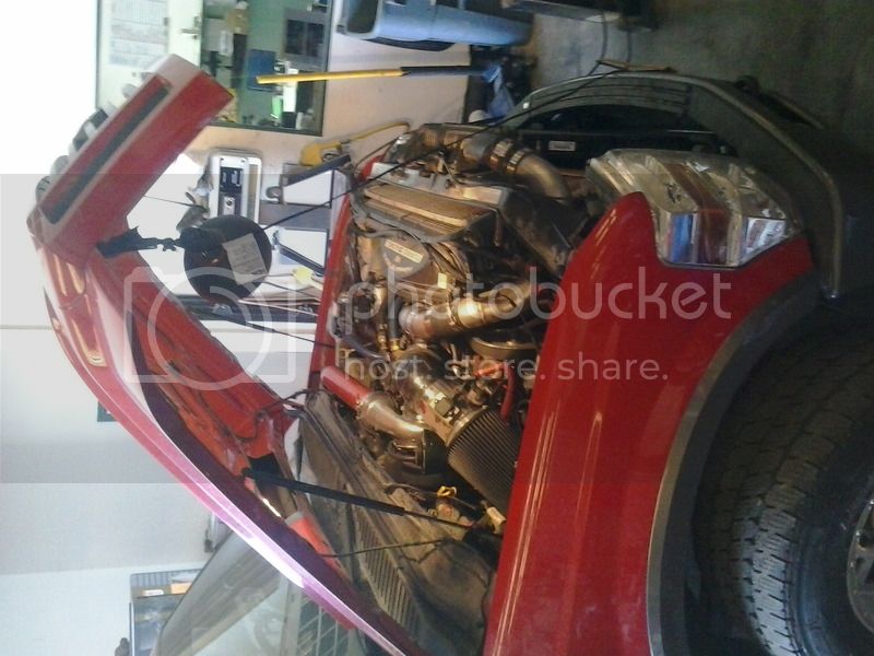Photo0040_zpsunrcqhhx.jpg
