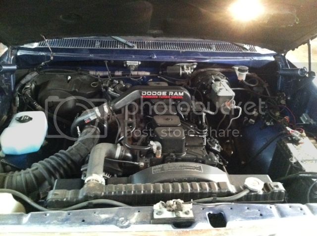 photo4_1.jpg