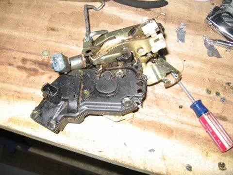 Picture007.jpg