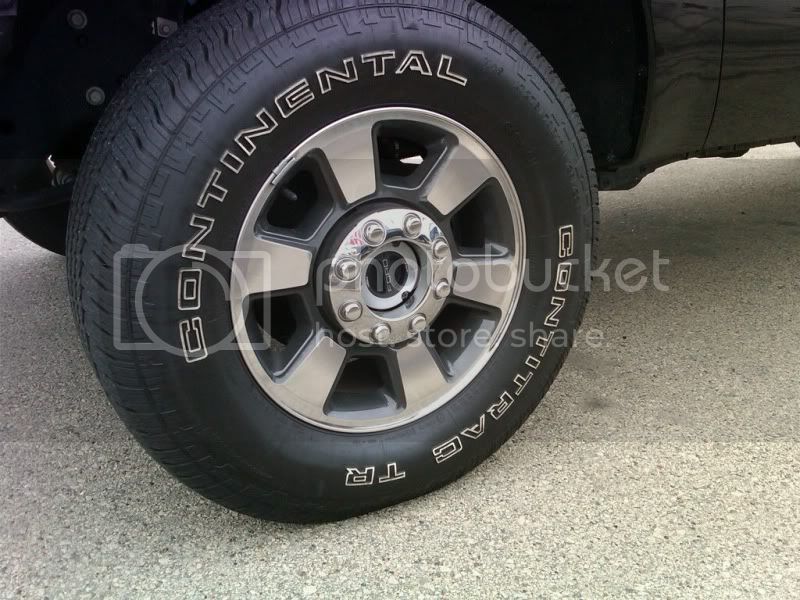 rim2.jpg