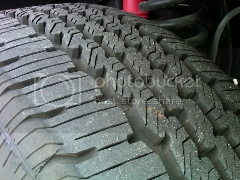 rim3.jpg