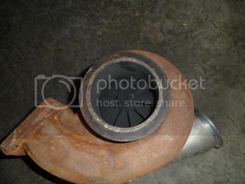 SAM_0234_zps10e2a8ca.jpg
