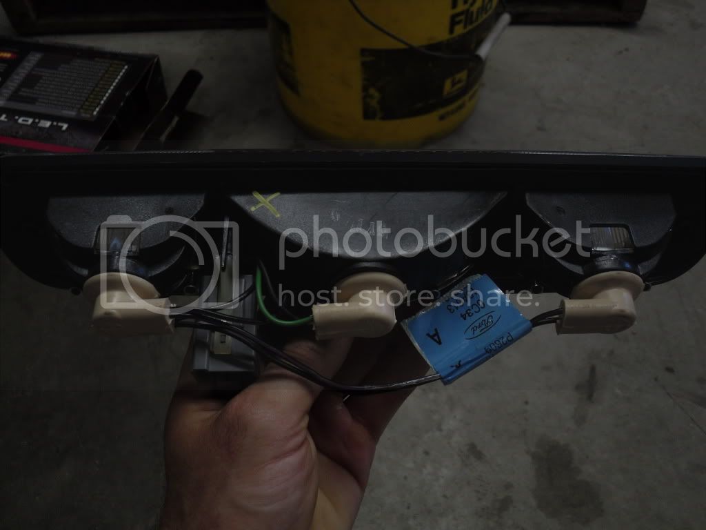 SDC10186.jpg