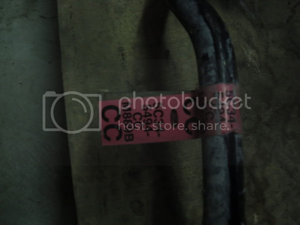 SDC10192.jpg