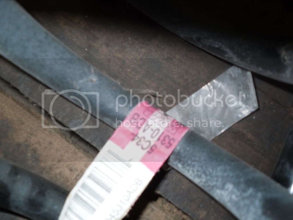 SDC10194.jpg