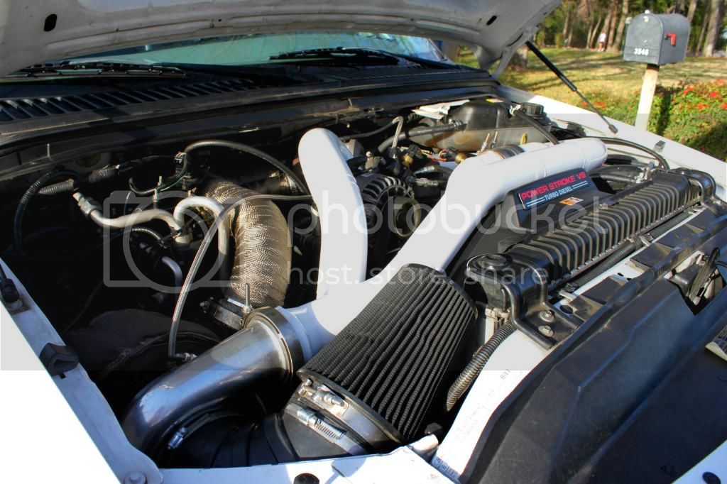 Shorty3_zps085017e7.jpg