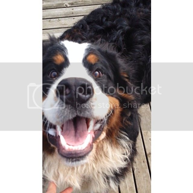 snuffy_zps33e10782.jpg