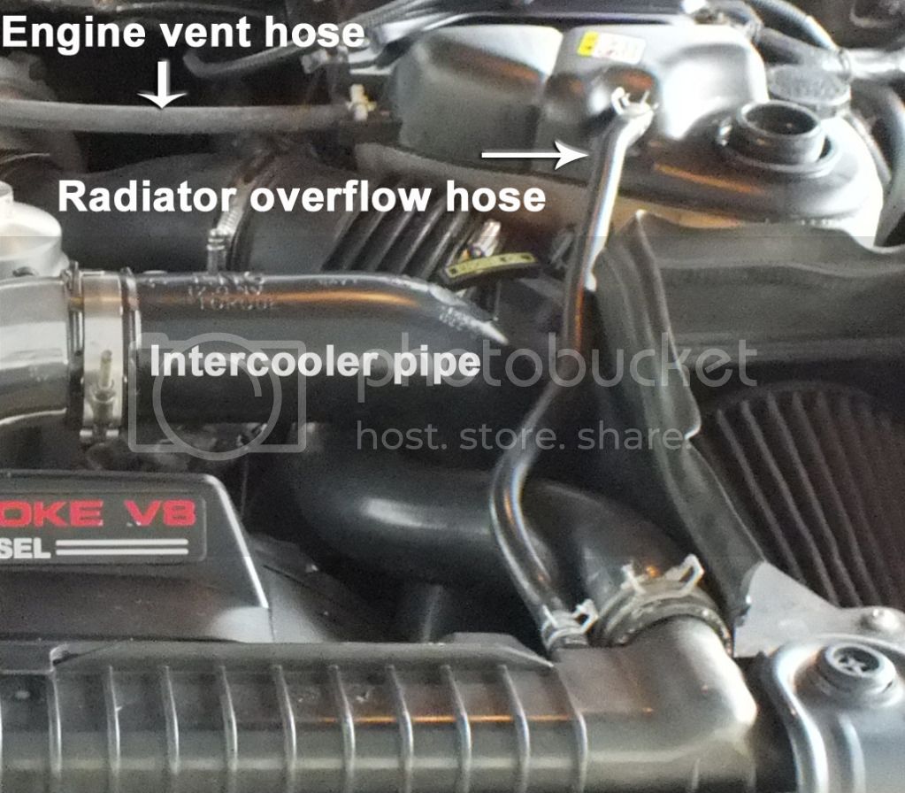 Step9.jpg