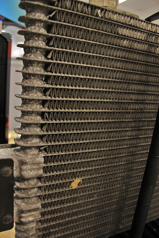 Stock-Fins-1.jpg