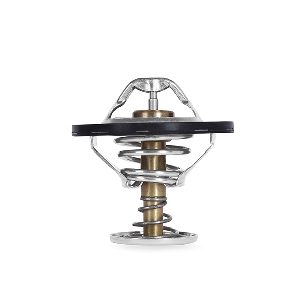 troke-low-temperature-thermostat-1996-ndash-2003-5.jpg