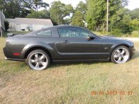 mustang 2 220.jpg