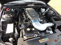 mustang 2 237.jpg