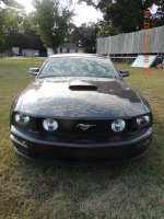 mustang 2 221.jpg