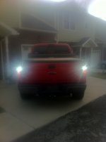ImageUploadedByTapatalk1322760307.743389.jpg