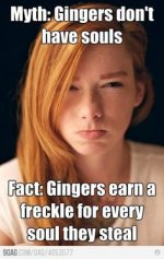 ginger.jpg