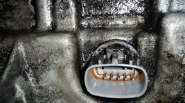 20150511_160813.jpg