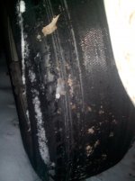 IMG_20160121_053158.jpg
